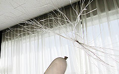 ものづくり・理科実験教室：神奈川県座間市青少年センター わくわくサイエンスくらぶ2018 静電気マジック 見えない力が物を動かす!?